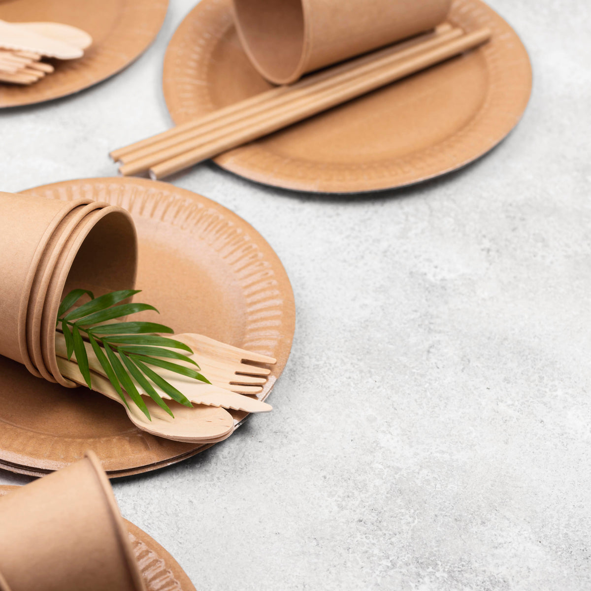 Areca Leaf Dinnerware India | Orika Naturals | Plastic-Free Plates & Bowls
