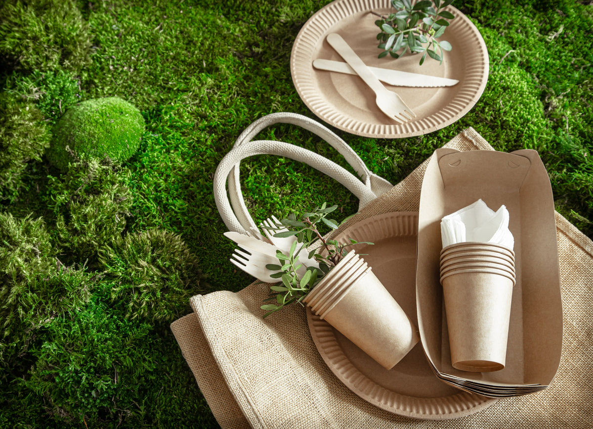 Eco-Friendly Disposable Plates India | Orika Naturals Areca Leaf