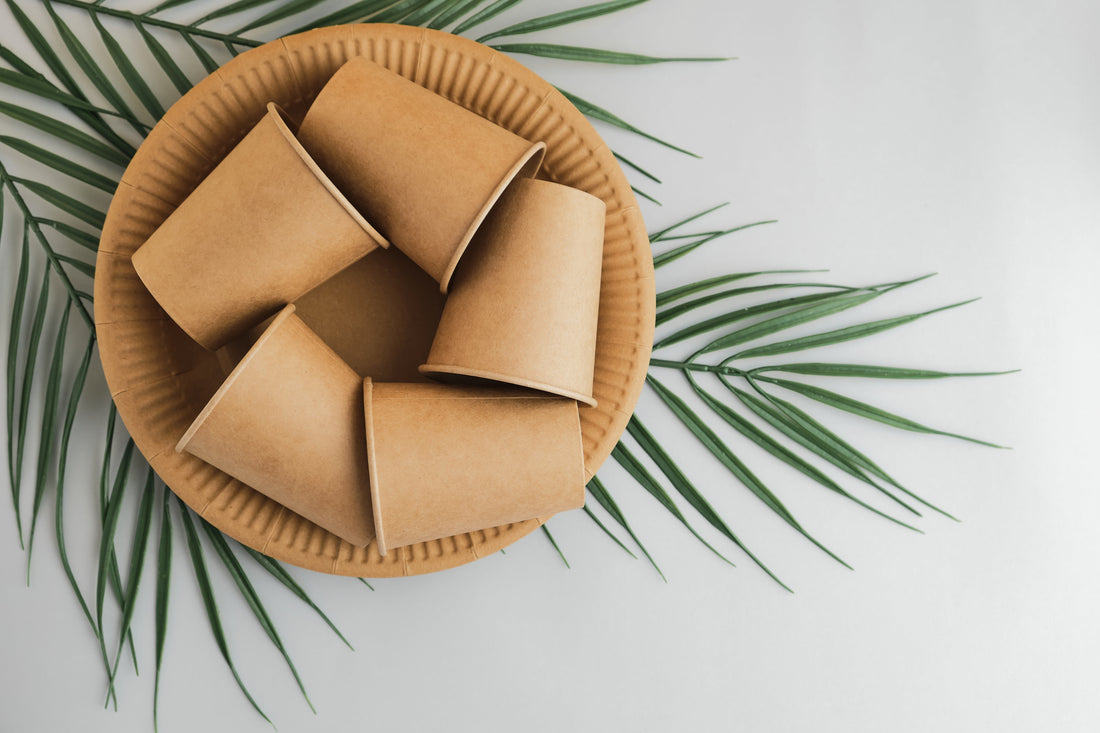 Premium Areca Leaf Plates | Eco-Friendly Dinnerware by Orika Naturals