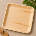 Square Plates - 10 Inches