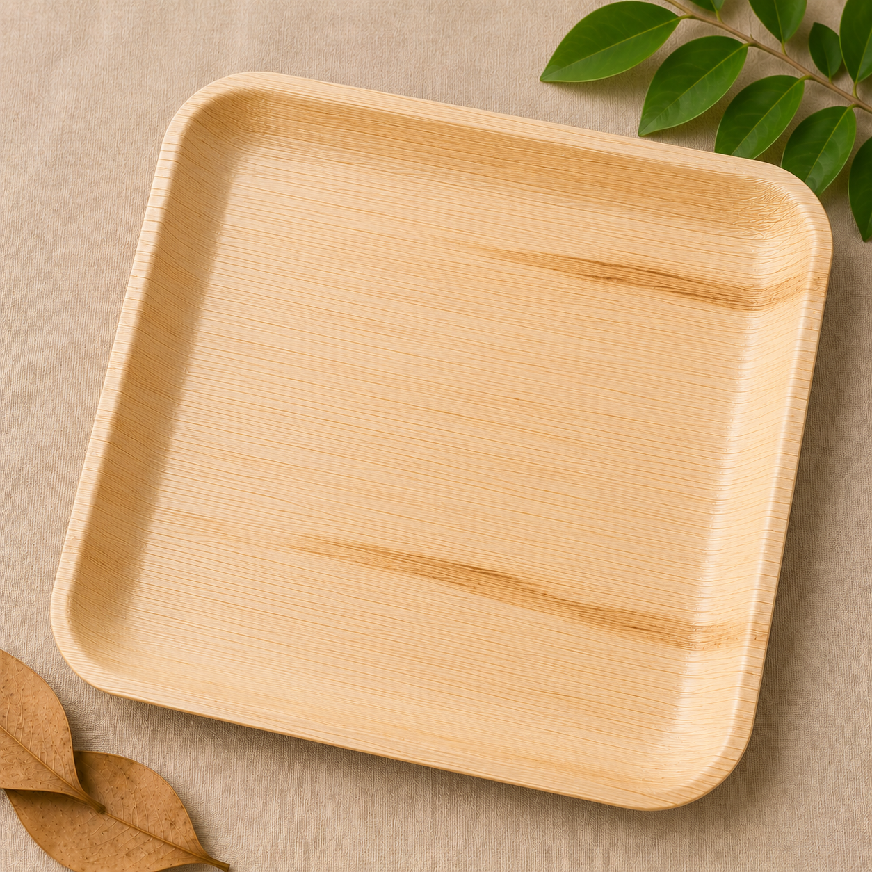 Square Plates - 10 Inches